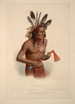 Mato-Tope, mit den Insignien seiner Kriegstaten, Platte 14 von B