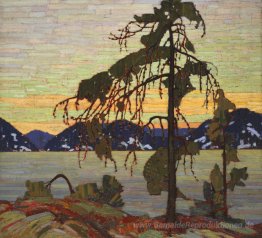 Die Jack Pine