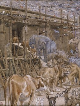 Einstellung der Tiere in die Arche
