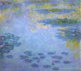 Wasserlilien