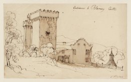 Eingang zum Schloss Blarney
