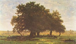 Steineichen, Apremont