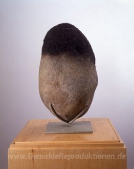 Untitled (Steinhaupt)