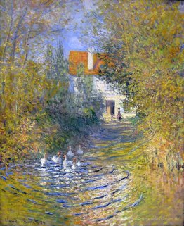 Geese in den Bach