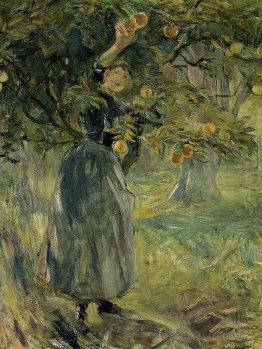 The Orange Picker