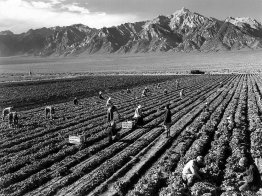 Bauernhof, Landarbeiter, Mt. Williamson im Hintergrund, Manzanar