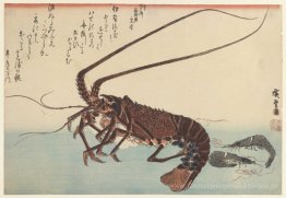 Crayfish und zwei Garnelen