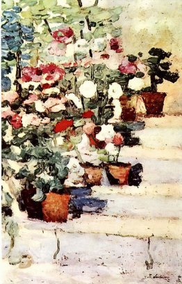Blumen auf der Treppe