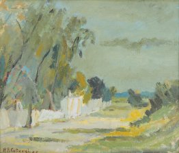Sommerlandschaft