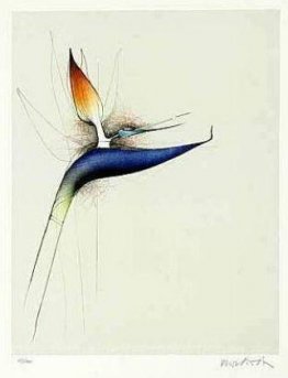 Strelitzia
