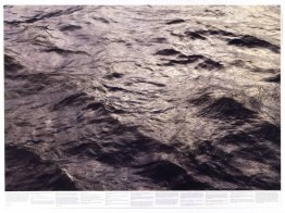 Untitled (aus der Serie Still Water (Die Themse, zum Beispiel))