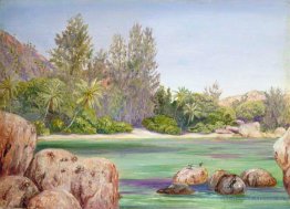 Das Leben an der Küste von Praslin, Seychellen