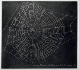 Untitled (Spinnennetz)