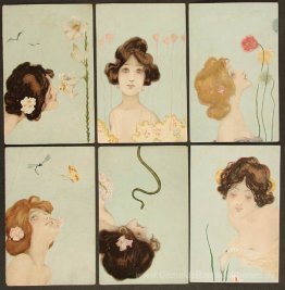Sun Frauen
