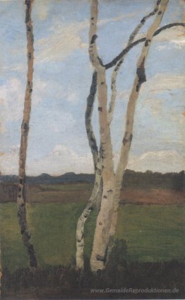 Landschaft mit Birkenstämmen