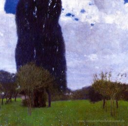 The Tall Trees II Pappel