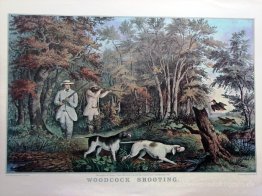 Woodcock Schießen