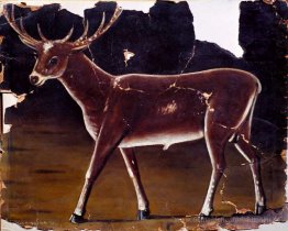 Hirsch