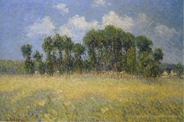 Landschaft mit Pappeln