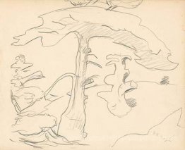 Monhegan (Studie)