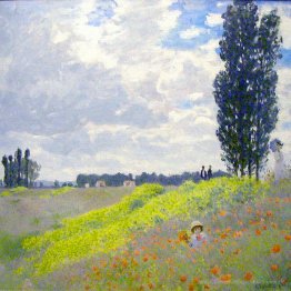 Wandeln Sie auf den Wiesen bei Argenteuil