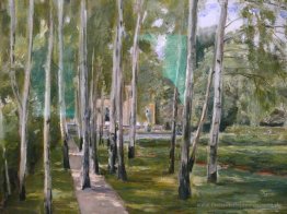 Birch wachsen