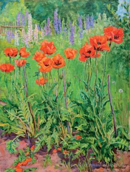 Poppies