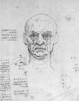 Studie über die Proportionen des Kopfes und der Augen