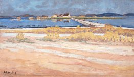 Landscape - Messolonghi Lagune