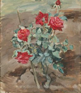 Roses in den Boden
