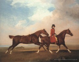 William Anderson mit zwei Reitpferde