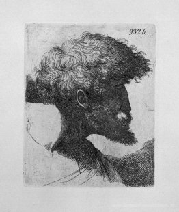Alte Mann `s Kopf im Profil