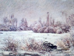 Der Frost