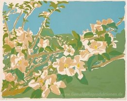 Apple Blossoms II
