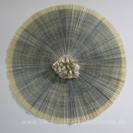 ciliary # 11