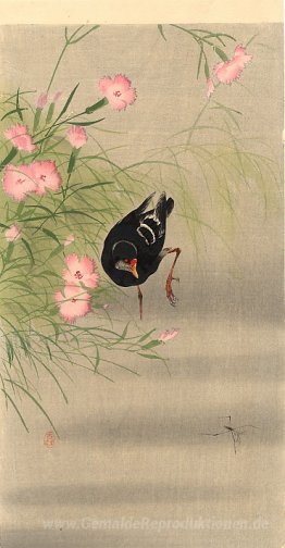 Gallinule Vogel und Wasser Strider