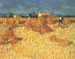 Ernte in der Provence