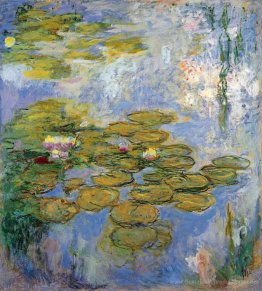 Wasserlilien