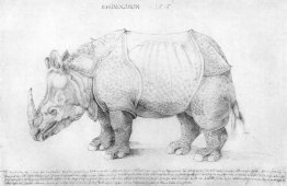 Nashorn