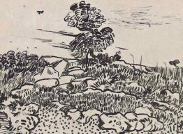 Felsen mit Eiche