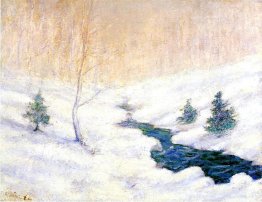 Waldstrom in einer Winterlandschaft