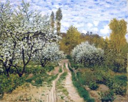 Bäume in der Blüte