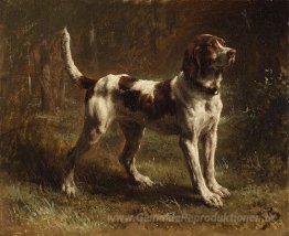 Ein Limier Briquet Hound