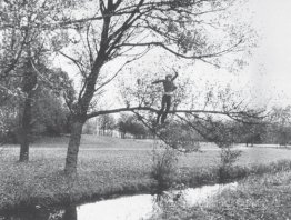 Broken Fall (Bio)