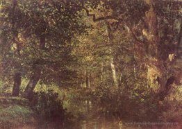 Wasserlauf in den Wäldern