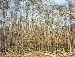 Der Buchenwald