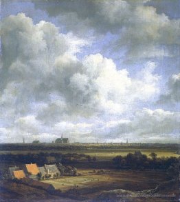 Ansicht von Haarlem mit Bleichfelder im Vordergrund
