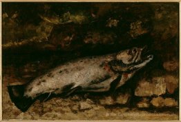 Die Forelle