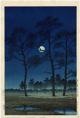 Winter-Mond über Toyama Plain