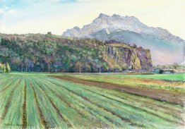 Schweizer Landschaft der Ebene um den Felsen von Saint-Triphon